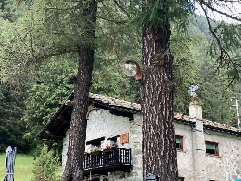 poi-casa-sem-benelli-gallery-1-1774860751