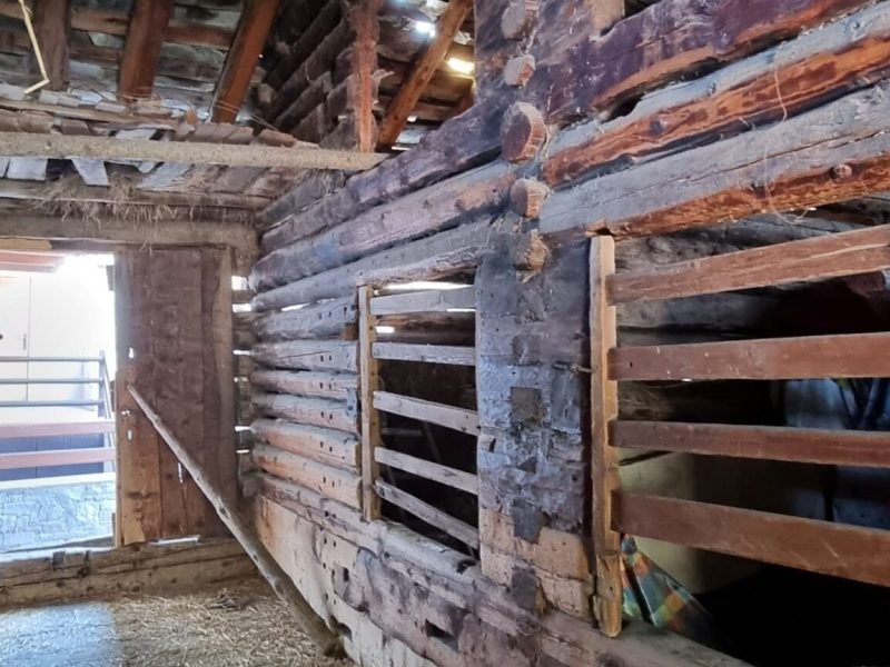 poi-rascard-1774860751