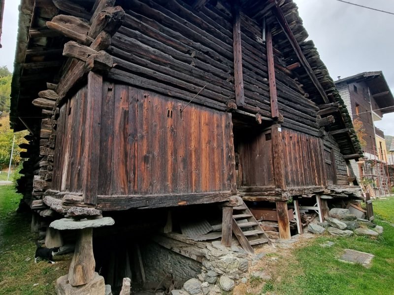 poi-rascard-4-1774860753