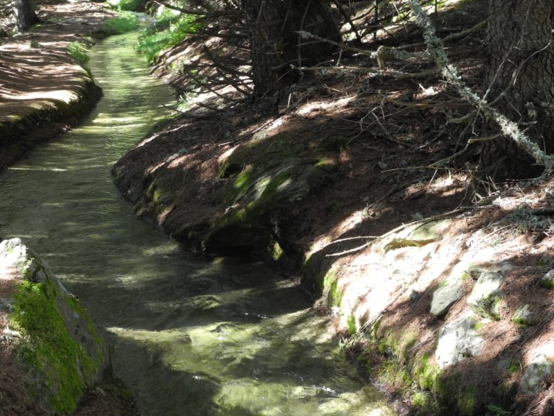 poi-ru-cortot-1774860753